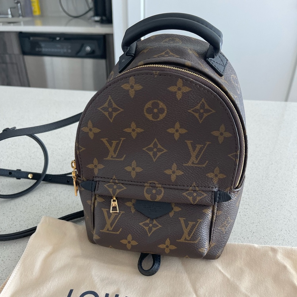 Louis Vuitton Palm Springs Mini Backpack